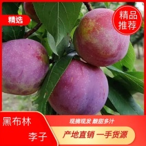 红黑布林李子口感好耐运输耐存售往全国各地出口品质