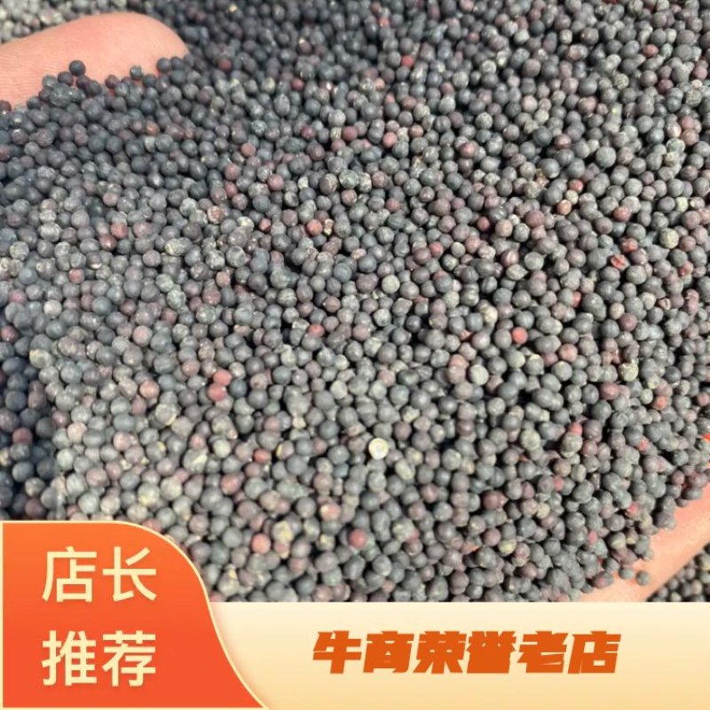 王不留行产地直销量大从优批发各种中药材