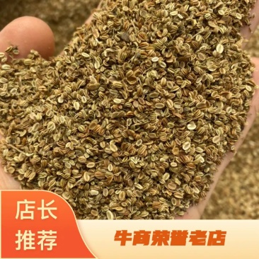 蛇床子批发各种中药材批发量大从优产地直销