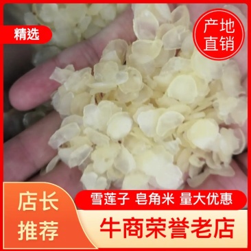 皂角米新货雪莲子产地直销量大从优大货批发