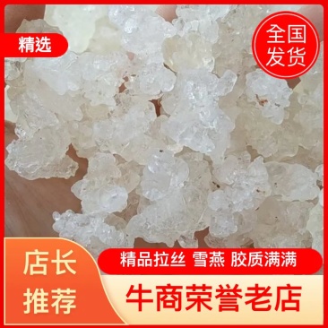 拉丝雪燕批发各种中药材大货批发