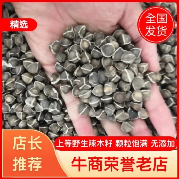 辣木籽颗粒饱满无硫新货各种中药材各种规格