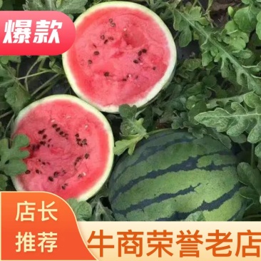 湖北美都皮薄多汁保质保量保熟商超欢迎来电合