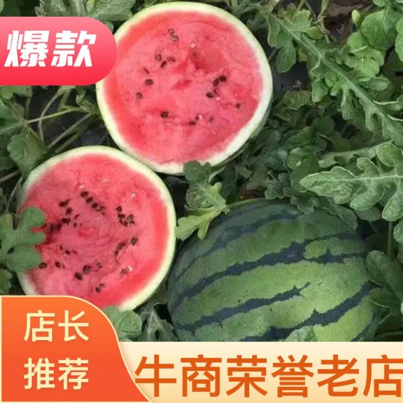 湖北美都皮薄多汁保质保量保熟商超欢迎来电合