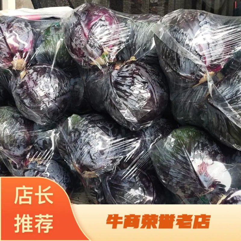 【紫甘蓝热卖】河北肥乡新鲜现货紫甘蓝规格齐全量大从优