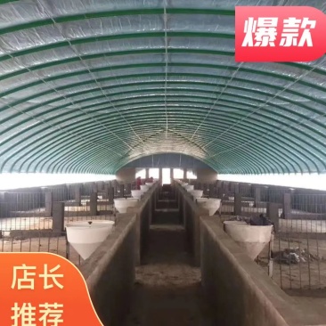 厂家直销设计制作各种种植棚，养殖棚温室大棚