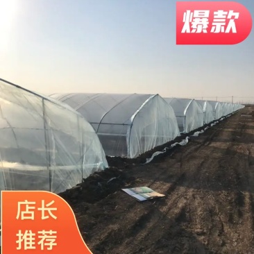 大棚温室骨架简易插地棚蔬菜大棚冷棚
