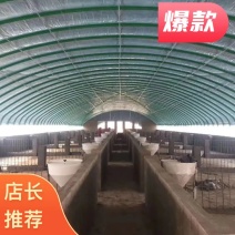 大棚钢管镀锌管专业生产设计加工