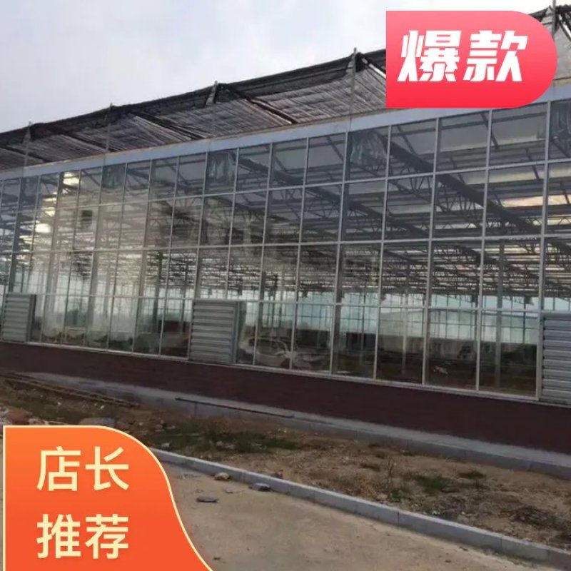 厂家直销专业生产养殖棚种植棚玻璃温室大棚