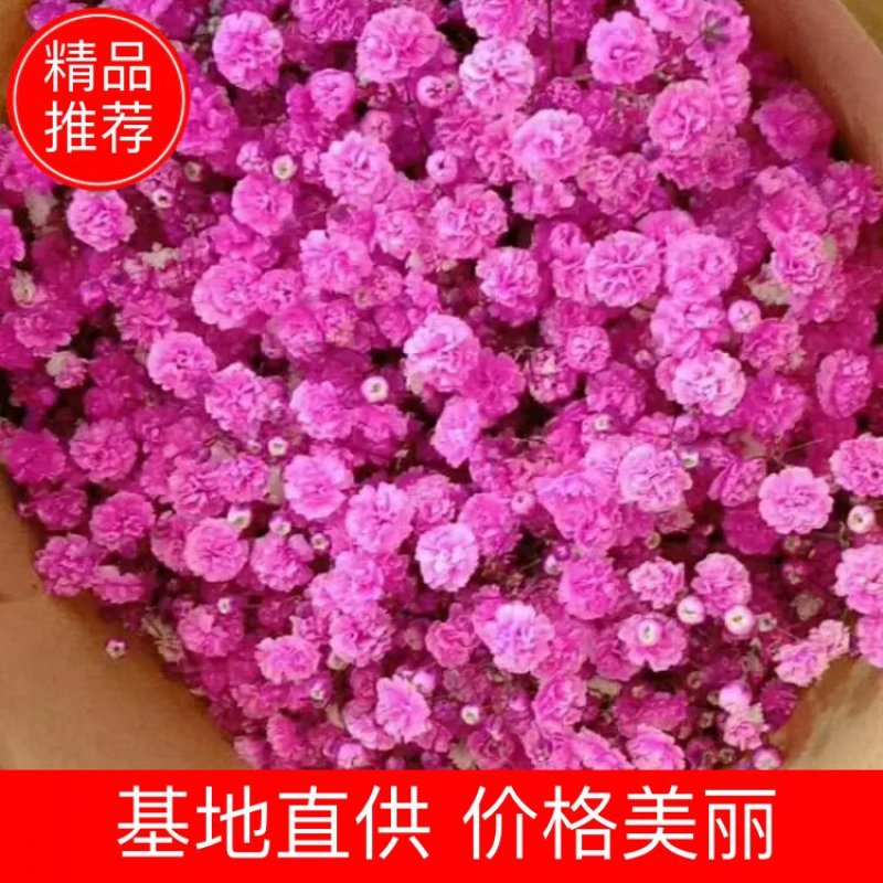 吸色千万星，颜色都品种齐全，可放时间长