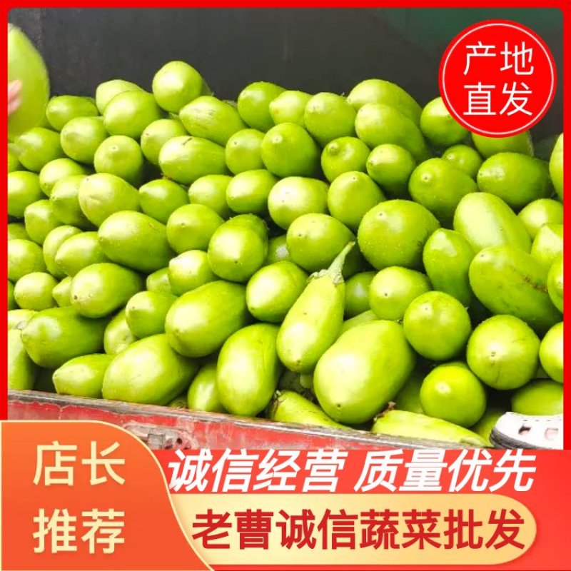 【牛商推荐】河南新野优质青茄子大量上市代发全国欢迎大家