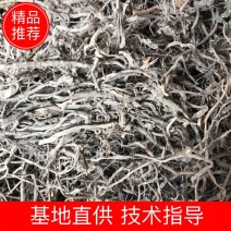 艾根艾根全干货支持线上交易量大从优