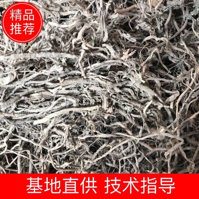 艾根艾根全干货支持线上交易量大从优