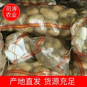 土豆，大量供应，对接全国各地客商老板看货下单