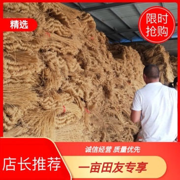 开封粉条红薯粉加工价格优惠，大量供货