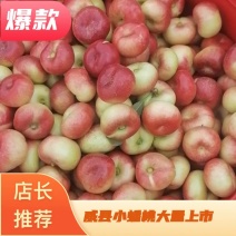 威县小蟠桃303香甜可口一个字，甜两个字，真甜啊