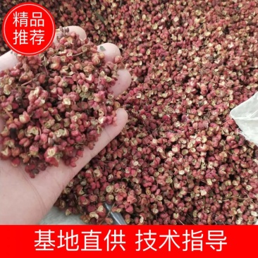 【精品】陕西韩城特级大红袍花椒新花椒色正味麻自产自销一手