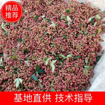 【热销】山东特级大红袍花椒产地直发货源充足颗粒大新货量大优惠