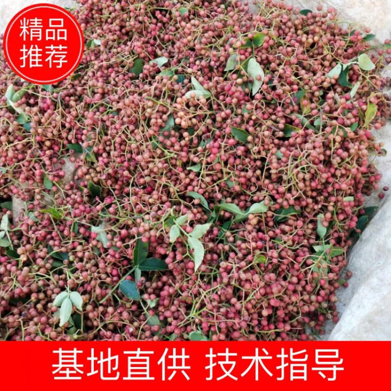 【热销】山东特级大红袍花椒产地直发货源充足颗粒大新货量大优惠