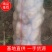 希森六号土豆产区货源精品货诚信代办