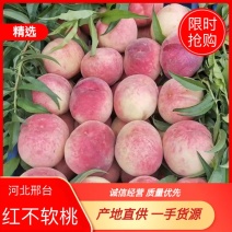 河北邢台红不软桃大量上市，产地直销，物美价廉，易保存