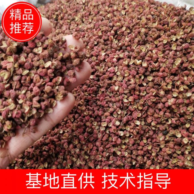【精品】山东花椒大红袍花椒产地直发价格实惠一手货源色正味麻