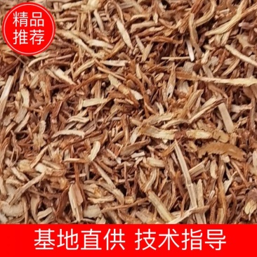 当归片，原货当归片，产地收购一手货源欢迎联系