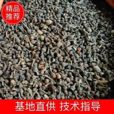 桂籽，干货香料专供，大量现货，门店专卖，欢迎联系
