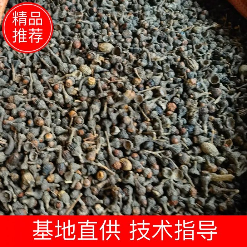 桂籽，干货香料专供，大量现货，门店专卖，欢迎联系