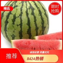 夏邑县大棚8424有籽，无籽西瓜已大量上市，皮薄，甜度高