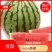 夏邑县大棚8424有籽，无籽西瓜已大量上市，皮薄，甜度高