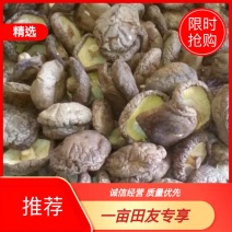 西峡香菇精选厚菇干香菇原产地一手货源
