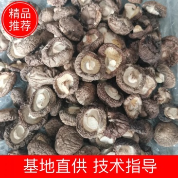 干香菇原产地供应，一手货源，可供应批发市场，餐饮，加工厂