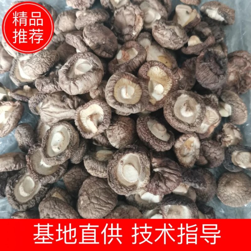 干香菇原产地供应，一手货源，可供应批发市场，餐饮，加工厂