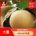 【供应】秋月梨代收加工/量大质优/承接各大平台商超批发商