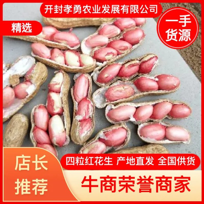 四粒红，鲜花生，电商对接各大超市，市场，产地直发一手货源