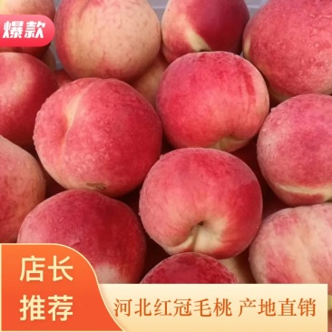 西妃开始即将上市，甜脆可口，耐储存，需要的客户联系