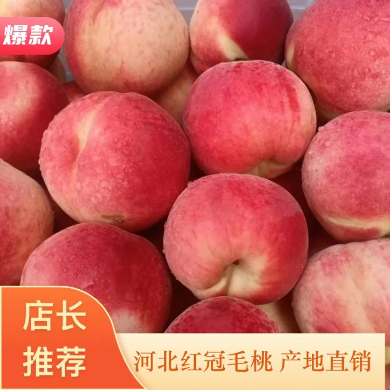 西妃开始即将上市，甜脆可口，耐储存，需要的客户联系