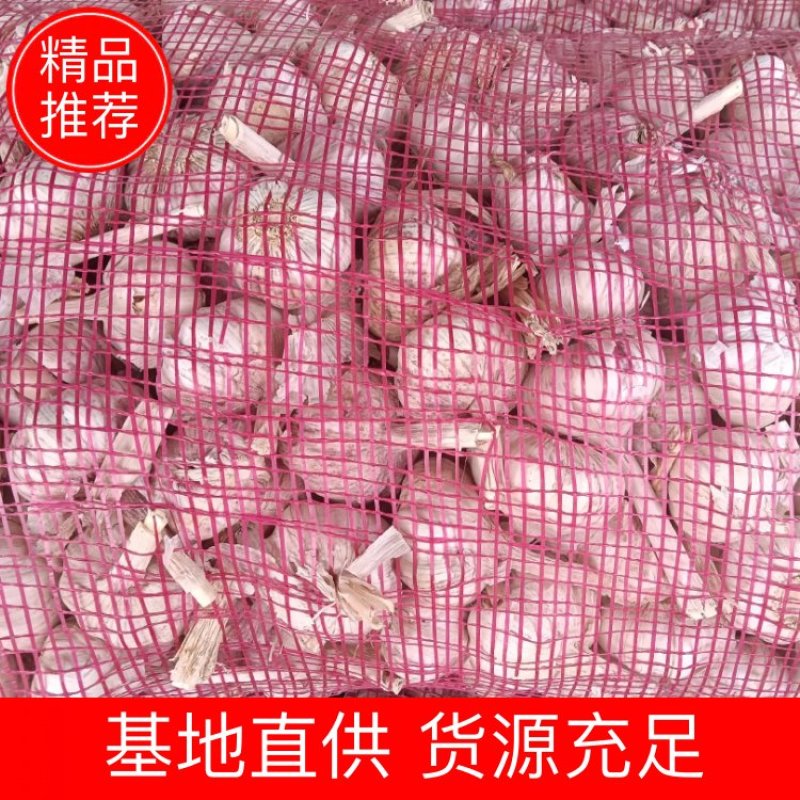 邳州精品净蒜！原皮，分级净蒜，新蒜上市质量有保证