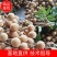 【**】石硖龙眼可对接各大市场社区电商平台，量大从优