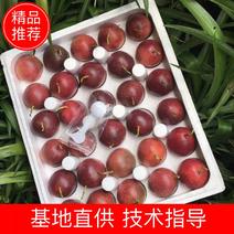 广西百香果批发大果5/3/2斤30个新鲜水果
