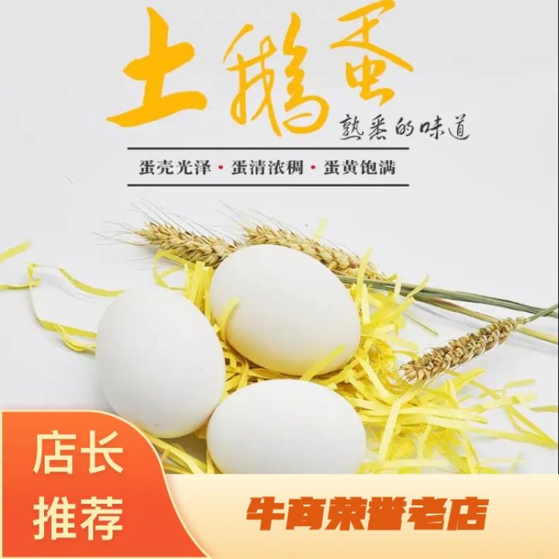 盒装鹅蛋/支持一件代发，电商直播供应链/大白鹅蛋