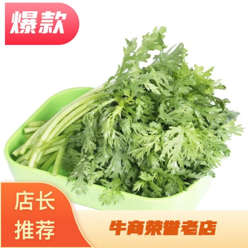 河北精品茼蒿张北蒿子杆(专业对接整车)万亩基地量大从优
