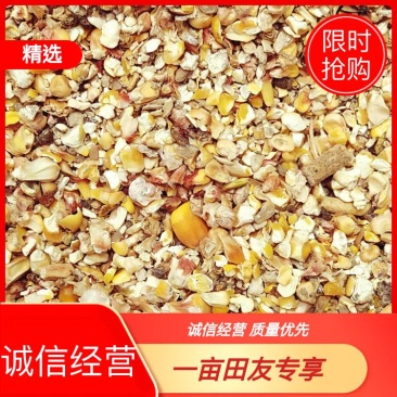 【特惠】碎玉米过风净粮杂质少鸡鸭鹅专用好粮厂家直销