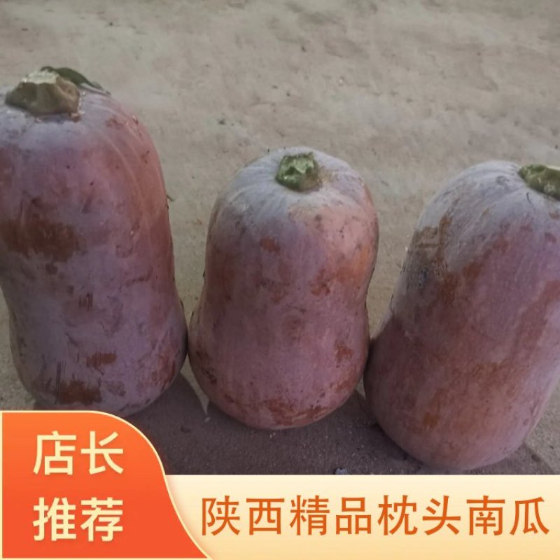 陕西城固南瓜枕头南瓜大量现货供应诚信报价