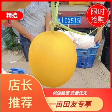 （基地直供）（热销）（推荐）久红瑞量大量大量大……