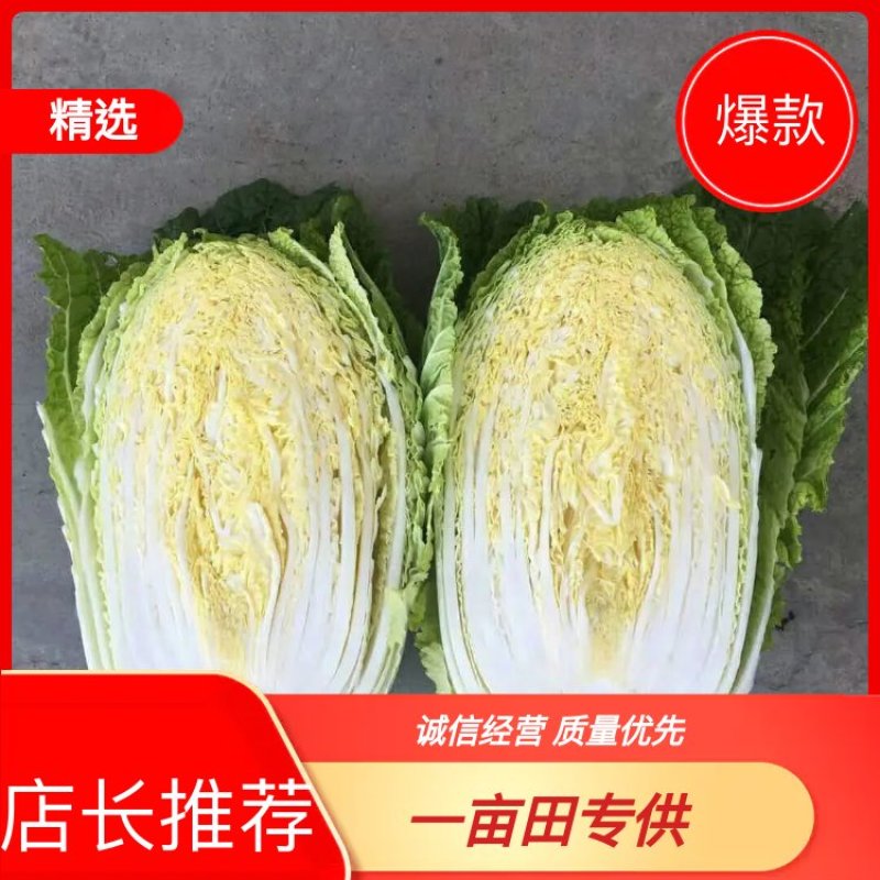 【推荐】河北精品河北基地直供一条龙服务欢迎来电咨询