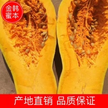 湖北韦卓种植合作社全黄金韩秘本南瓜7-10斤