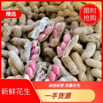 鲜花生，四粒红，大白沙，鲁花8号，货源充足，基地直供