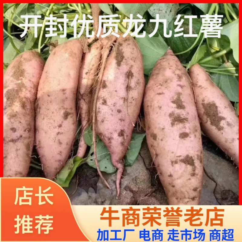 开封龙九红薯，加工厂电商走市场，对接批发商超欢迎咨询